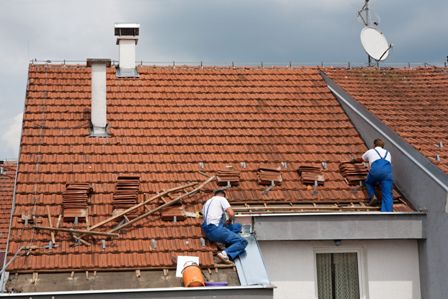 GOTERAS en COLMENAR VIEJO (MADRID)